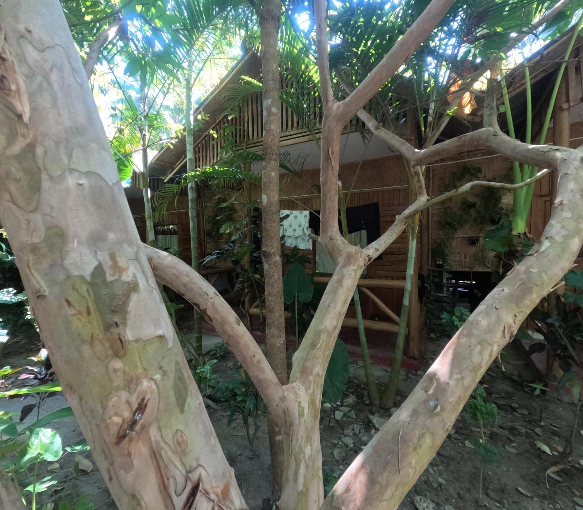 Havelock Farms Resort Vijay Nagar Beach المظهر الخارجي الصورة