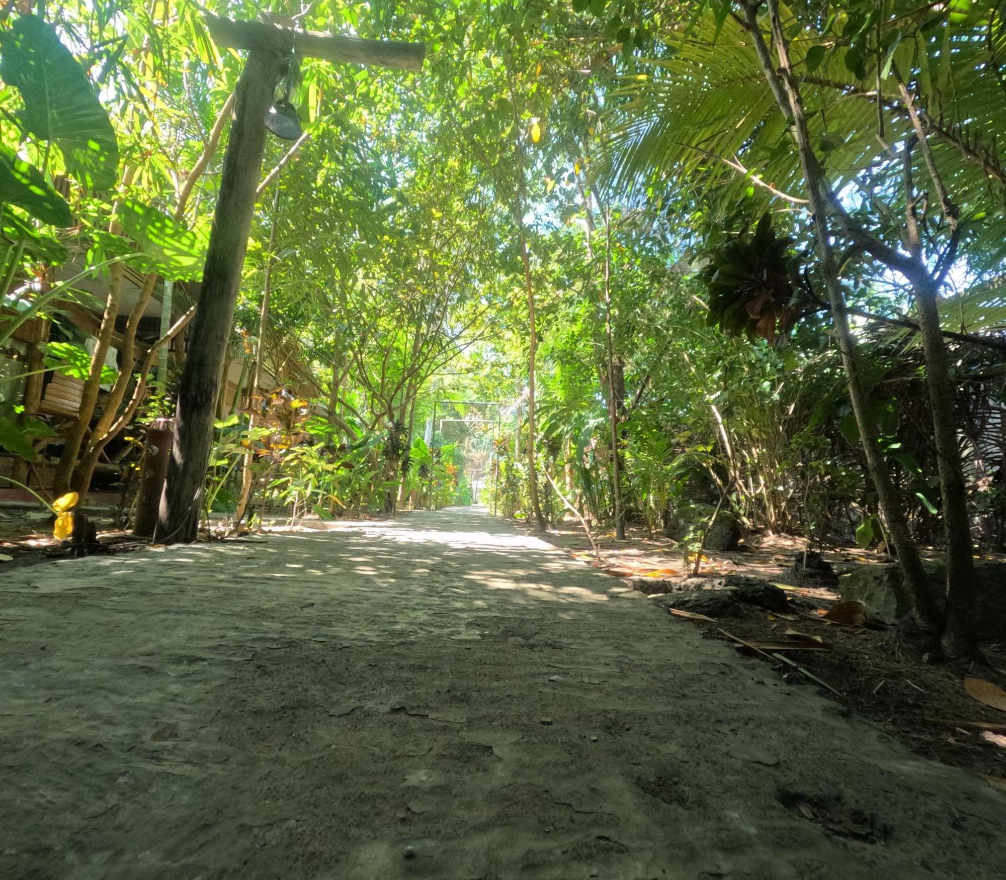 Havelock Farms Resort Vijay Nagar Beach المظهر الخارجي الصورة