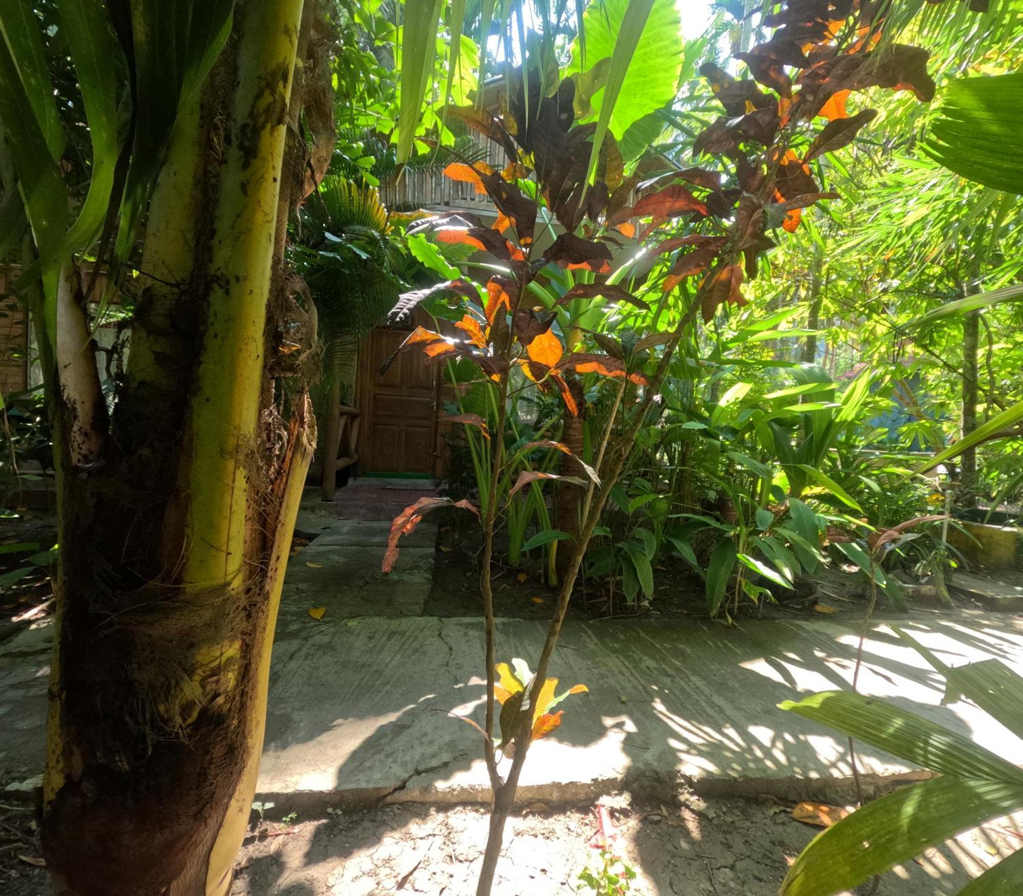 Havelock Farms Resort Vijay Nagar Beach المظهر الخارجي الصورة